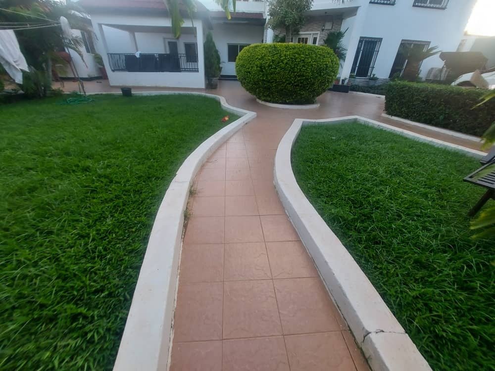 Evergreen Landscaping